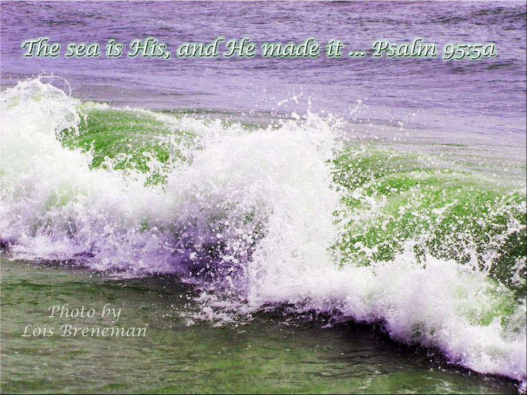 Ocean - Psalm 95:5a