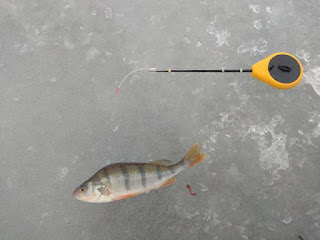 Зимння рыбалка в луцкой области