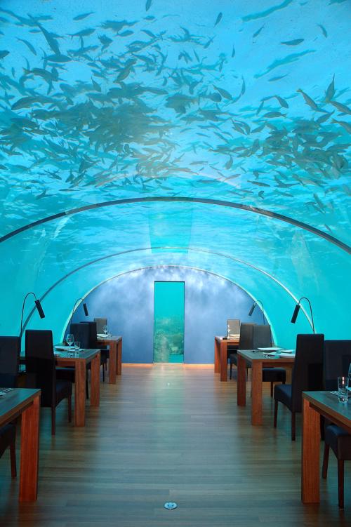 World's First All-glass Undersea Restaurant World's First All-glass Undersea Restaurant