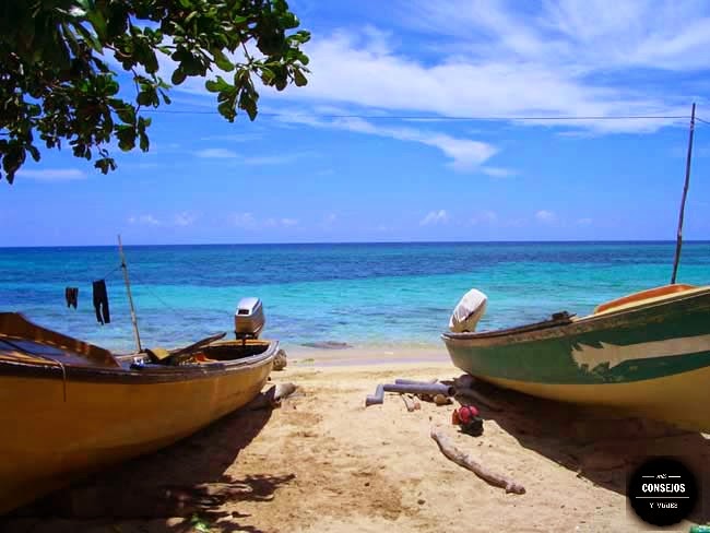 JAMAICA, VISITA DE UN DÍA POR EL NORTE DE LA ISLA