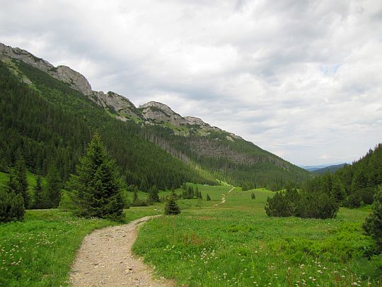 Polana Kondratowa.