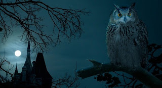 creepy-Halloween-backgrounds creepy-Halloween-backgrounds