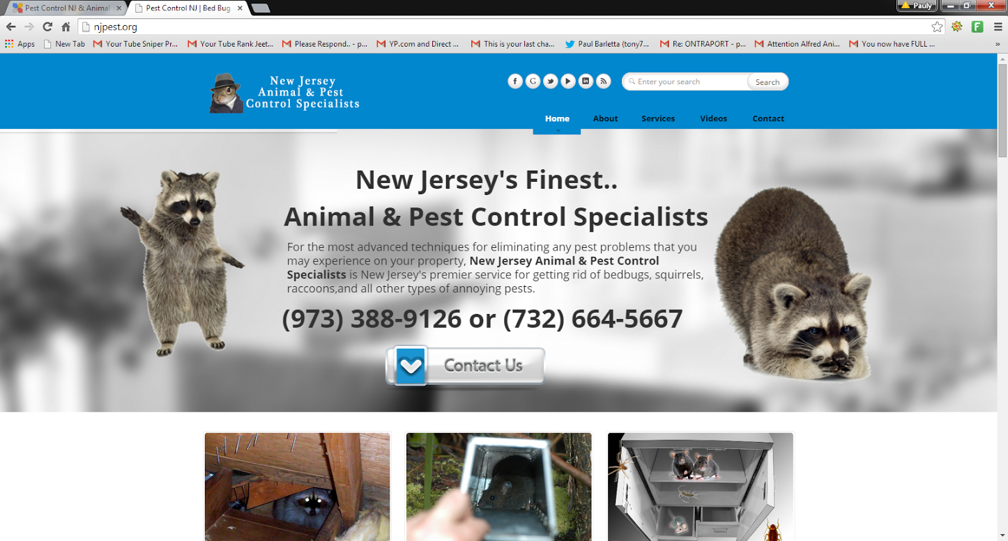 Full Service Animal Pest Control Specialists NJ