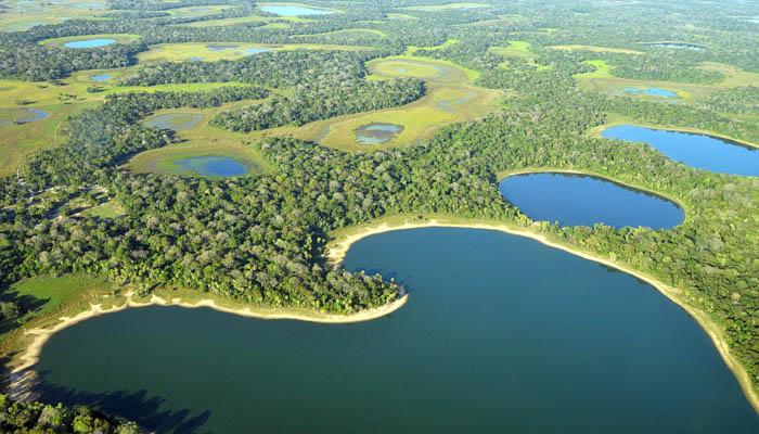 Mengenal Pantanal, Rawa-rawa Terbesar di Dunia Mengenal Pantanal, Rawa-rawa Terbesar di Dunia