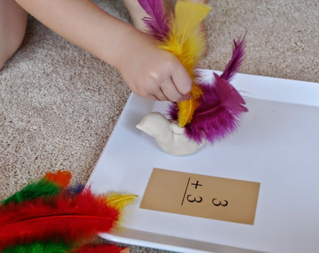 Feather Math for Bird Theme Homeschool Preschool Unit