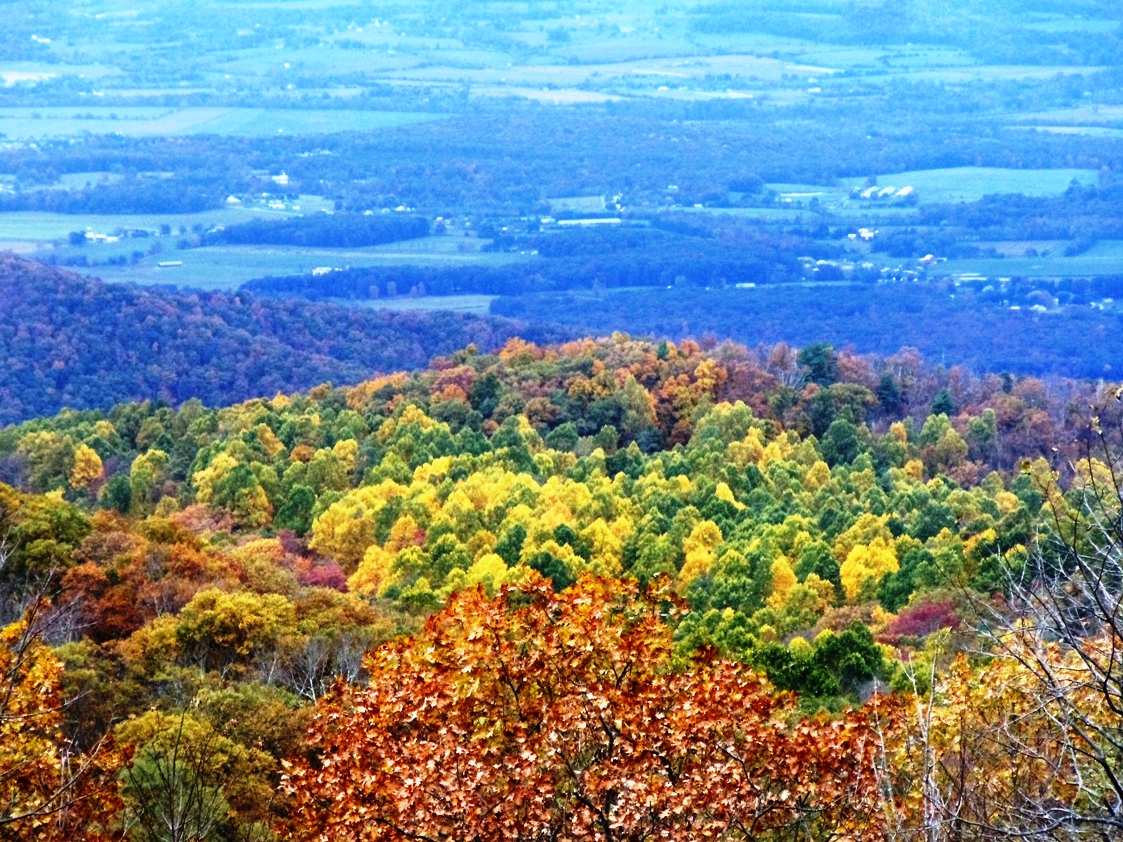 Photos on Friday Fall foliage on Skyline Drive (2014) Things to See