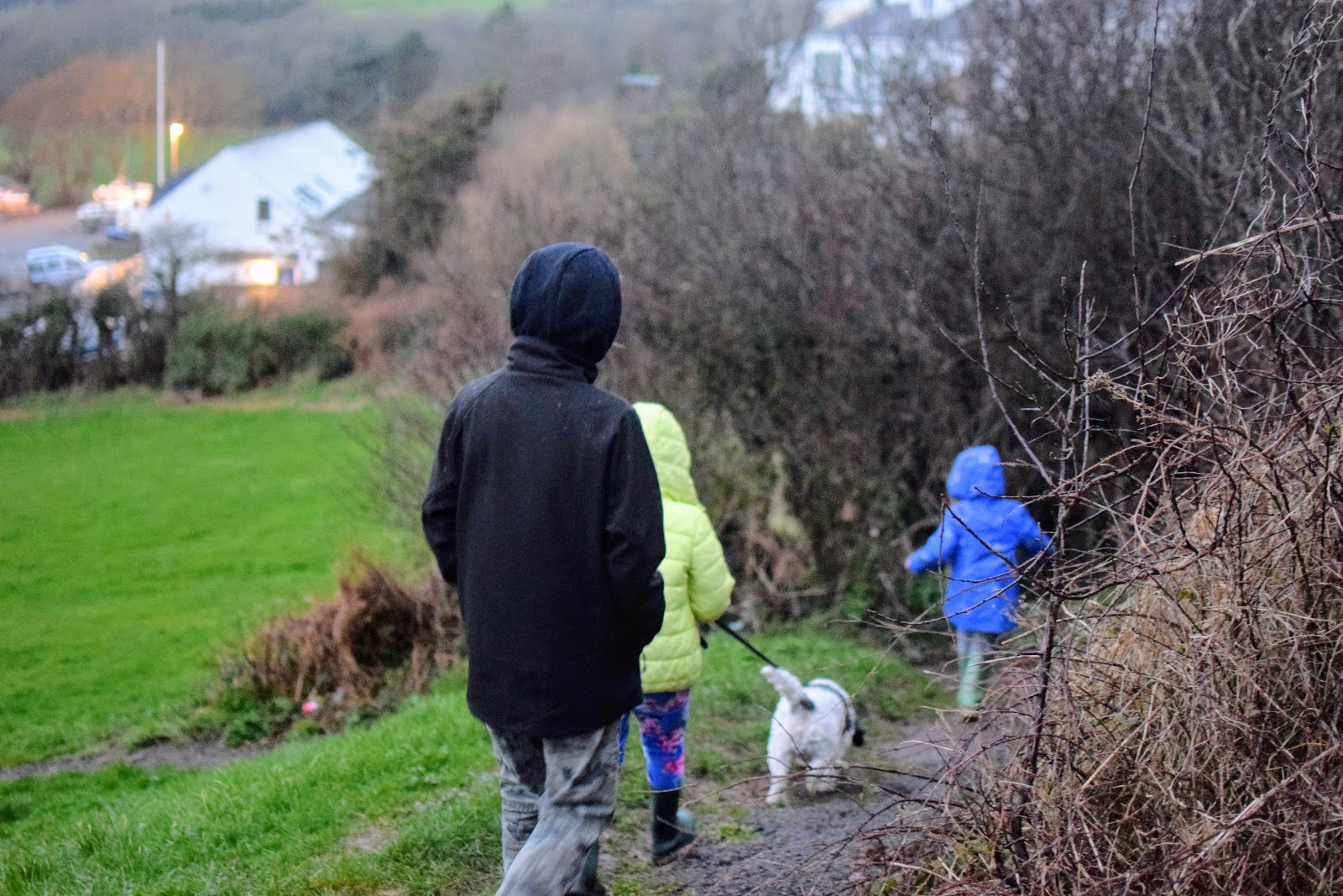 , When Dodge the Dog Came to Stay:  A Walk down Gelliswick Beach, Pembrokeshire