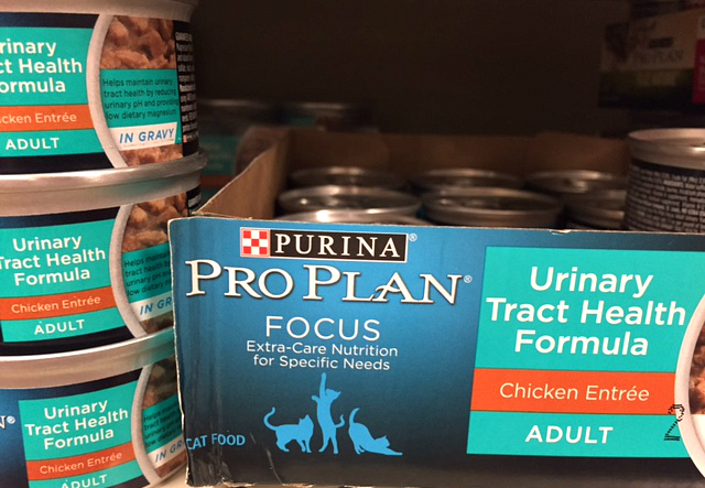 Purina Pro Canned Cat Food Textures Purina Pro Canned Cat Food Textures