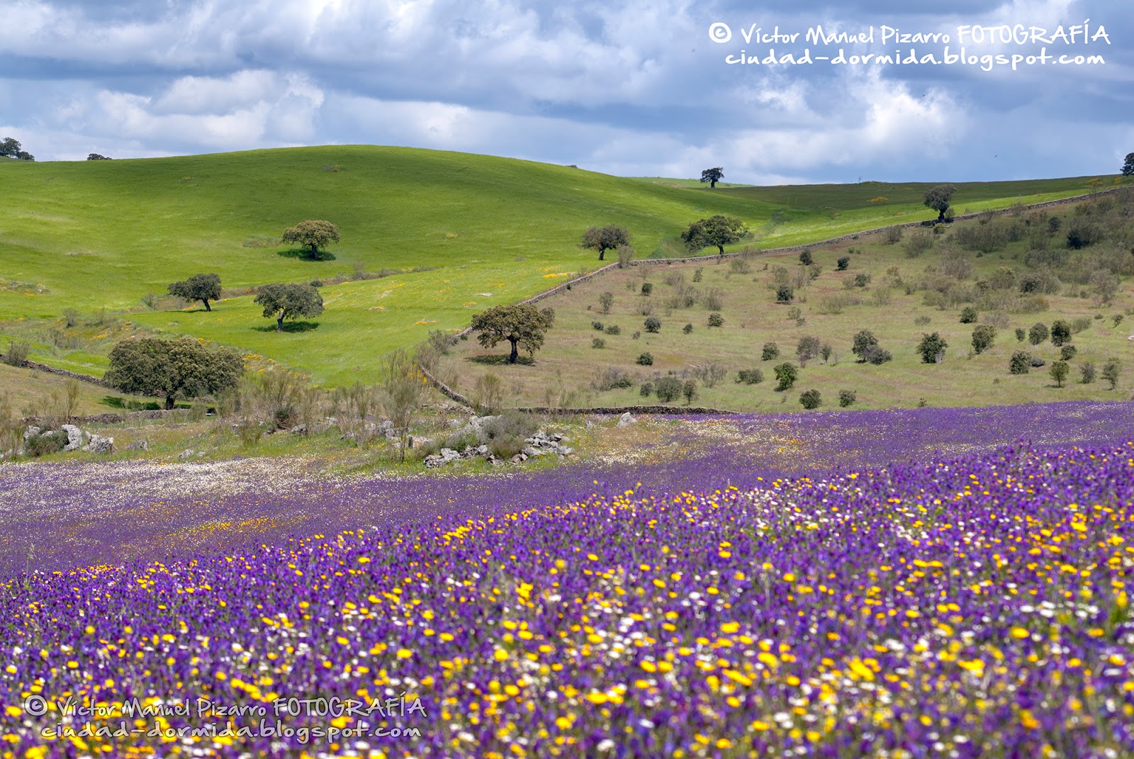 Cielos de Extremadura los cielos de