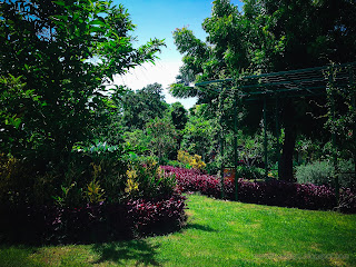 Sweet Garden Landscape In The Park On A Sunny Day At Tangguwisia Village, North Bali, Indonesia
