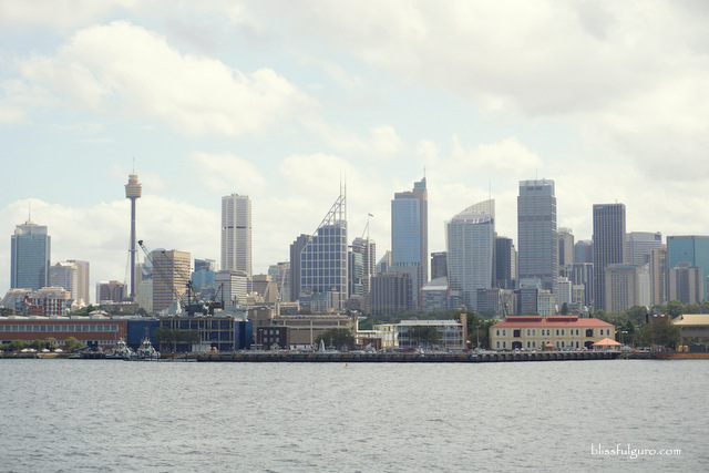 Sydney Harbour Cruise Review