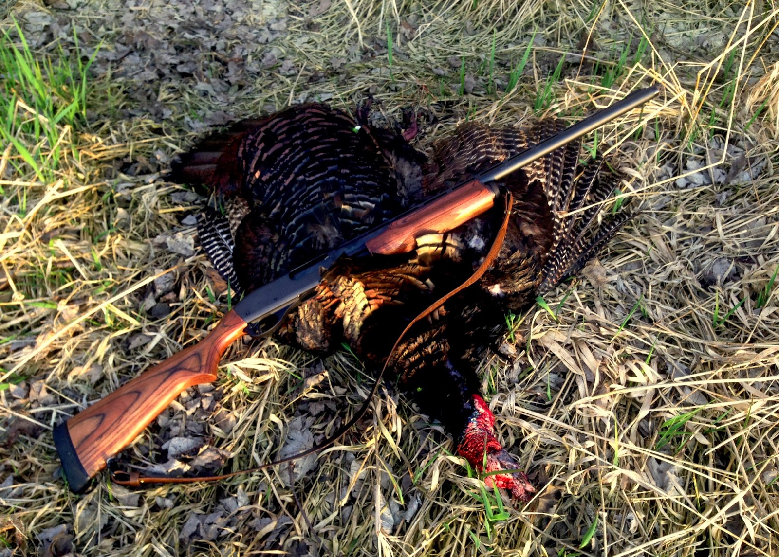 Troutrage Spring Turkey Hunt