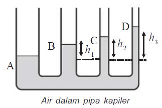 Air dalam Pipa Kapiler Air dalam Pipa Kapiler