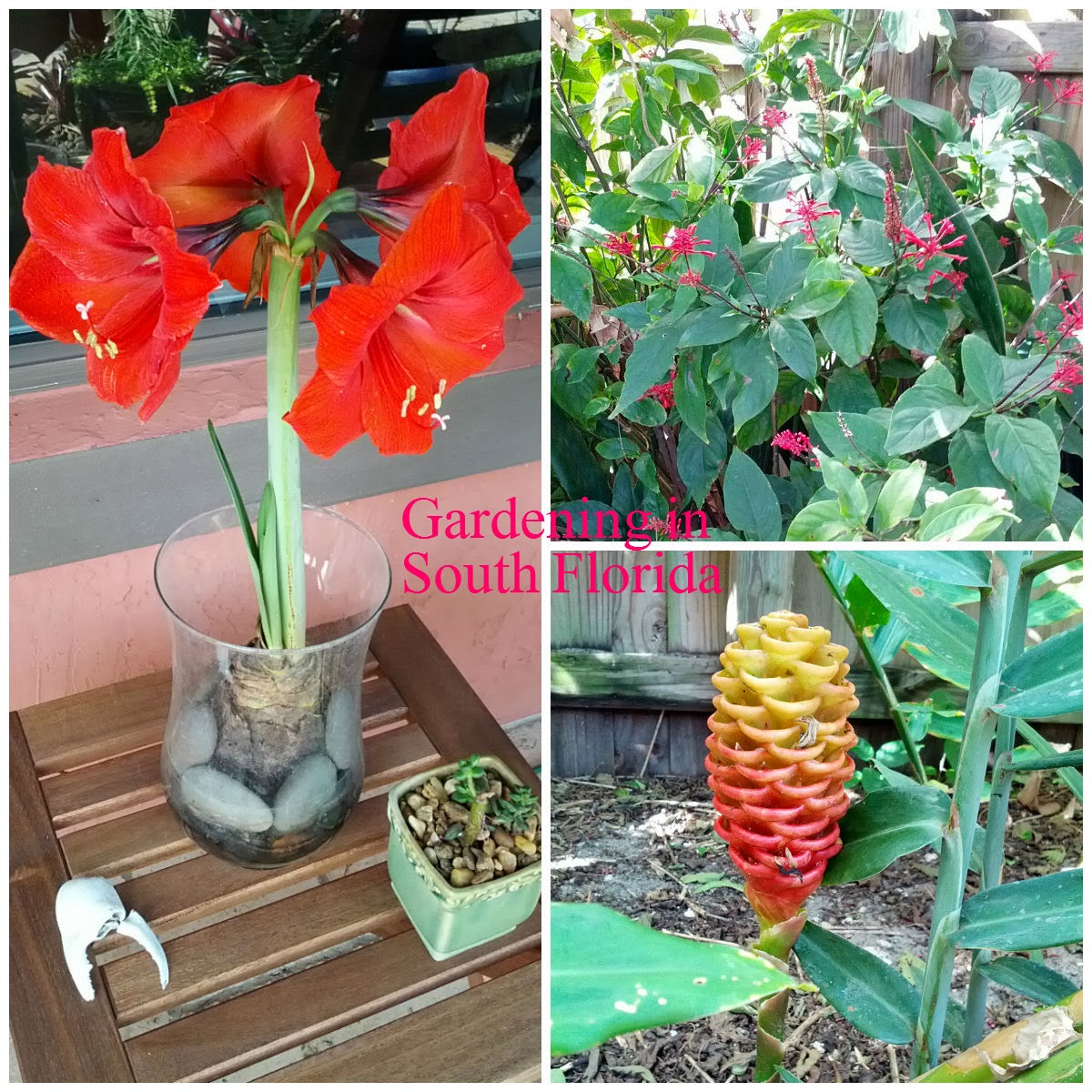 Flower Power Garden Centre Terrey Hills Sydney Flower Power Garden Centre Terrey Hills Sydney