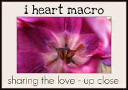 I love macro