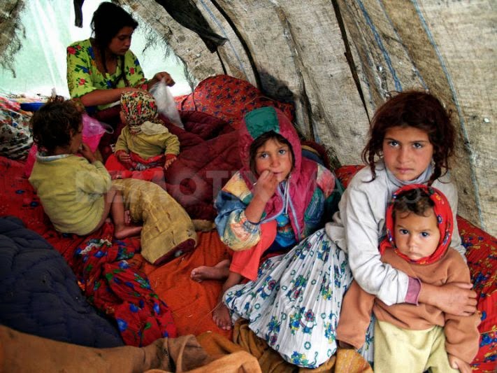 Ex aequo et bono 2015