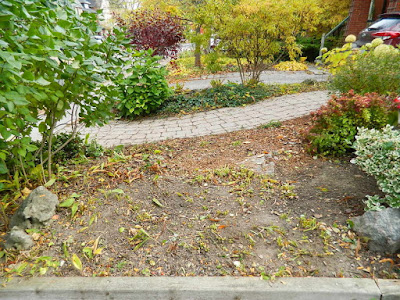 Yonge and Lawrence Front Yard Toronto Fall Cleanup after by Paul Jung Gardening Services--a Toronto Organic Gardening Company Yonge and Lawrence Front Yard Toronto Fall Cleanup after by Paul Jung Gardening Services--a Toronto Organic Gardening Company