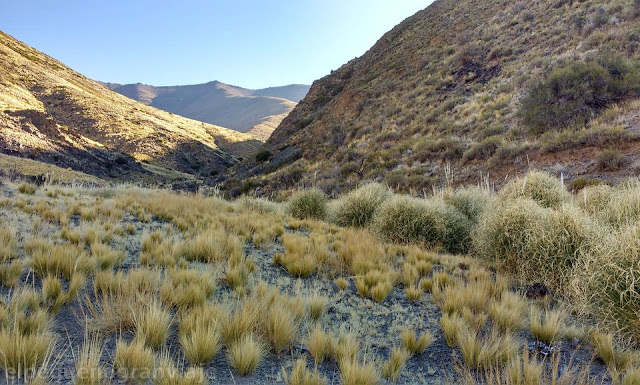 Tonatal Norte, valle, arroyo, rio, paseo, sierra