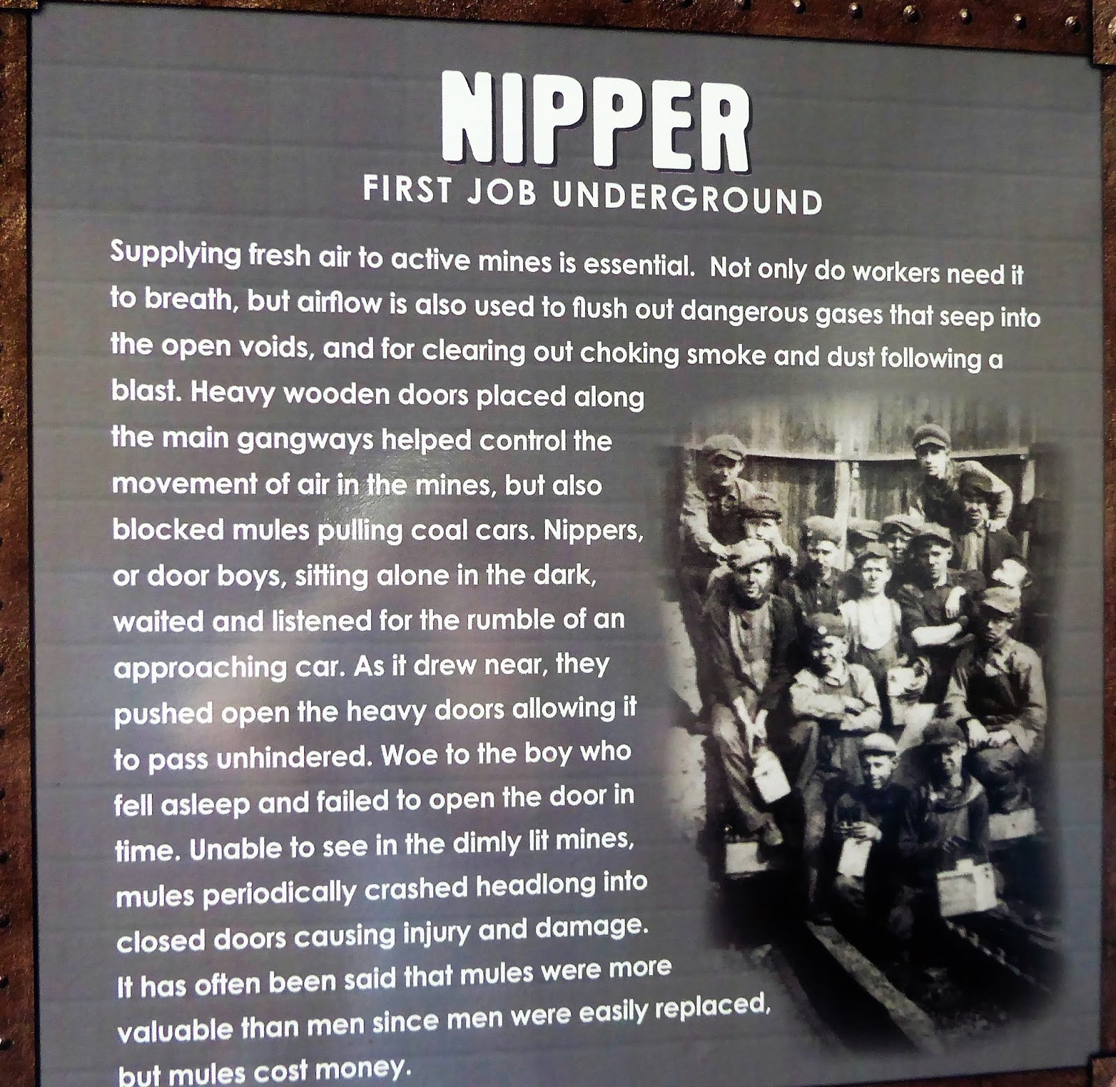 Cheese Plates and Room Service Learning about the Life of My Coal