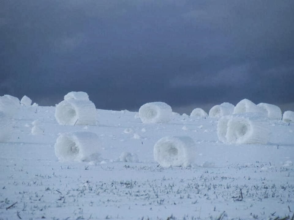 Фигуры из снега. Розы на снегу. Снежные фигуры. Снежные фигурки. Розочки из снега.
