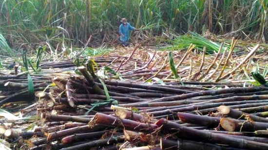 Diduga Terlibat Penipuan, Ketua Parpol di Bondowoso Jadi Tersangka 