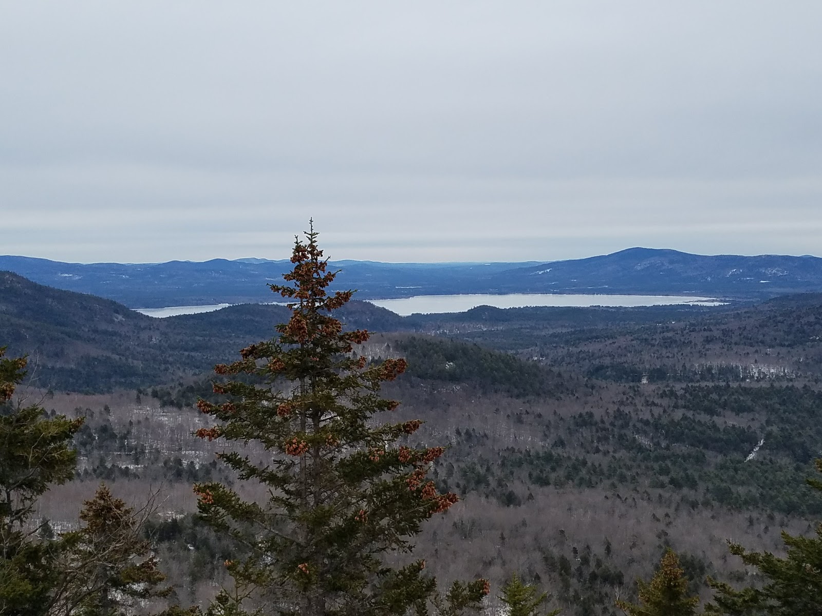 Mountain Llama 2018 Bamboozled IPA PreGame 5K