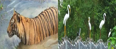 Images of Bangabandhu Safari Park Images of Bangabandhu Safari Park