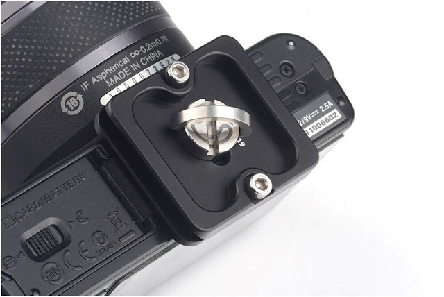 Sunwayfoto QRS-01 D-Ring 1/4"-20 SS Screw on camera plate