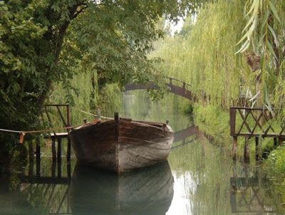 Weeping-willow-Canal-Clitunno-beauty-of-Italy-travel