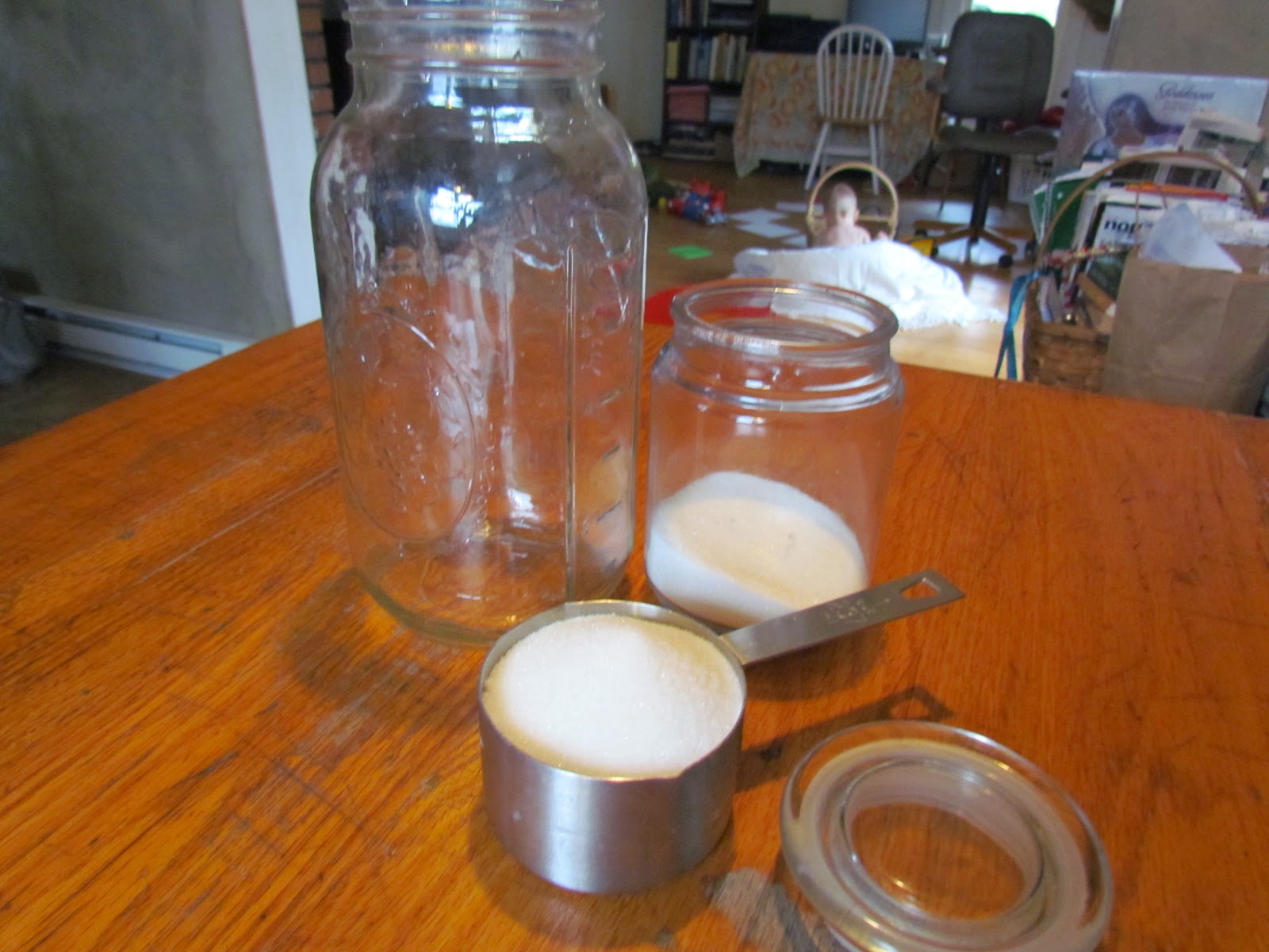 Wild Garden Goddess The Kombucha Experiment 1 Lemon Balm