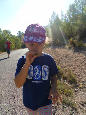 Pantano de Tibi, excursión, Alicante, Tibi, pantano, nos vamos de excursión, 