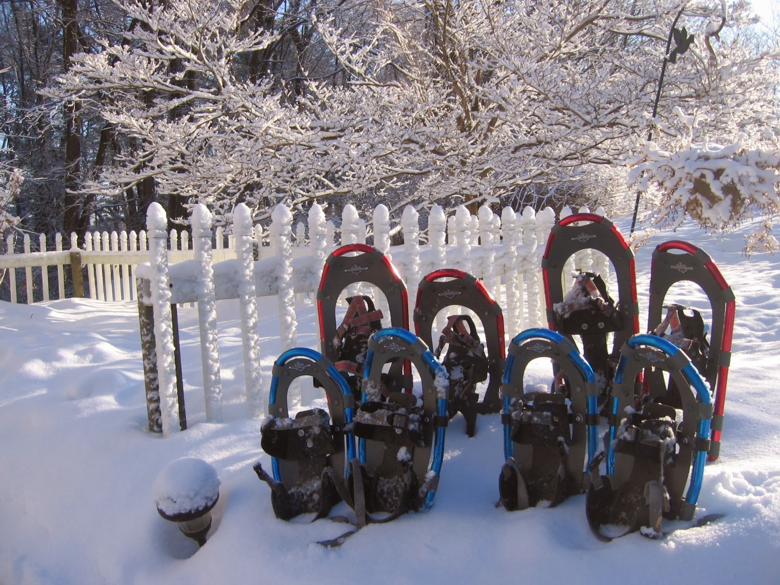 White Mountain Day Trips Snowshoeing the Lincoln Woods, in Lincoln