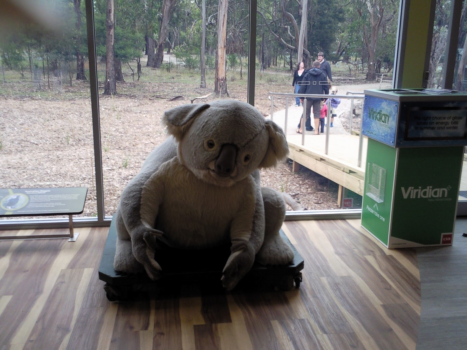 Life Move Pretty Phillip Island Nature