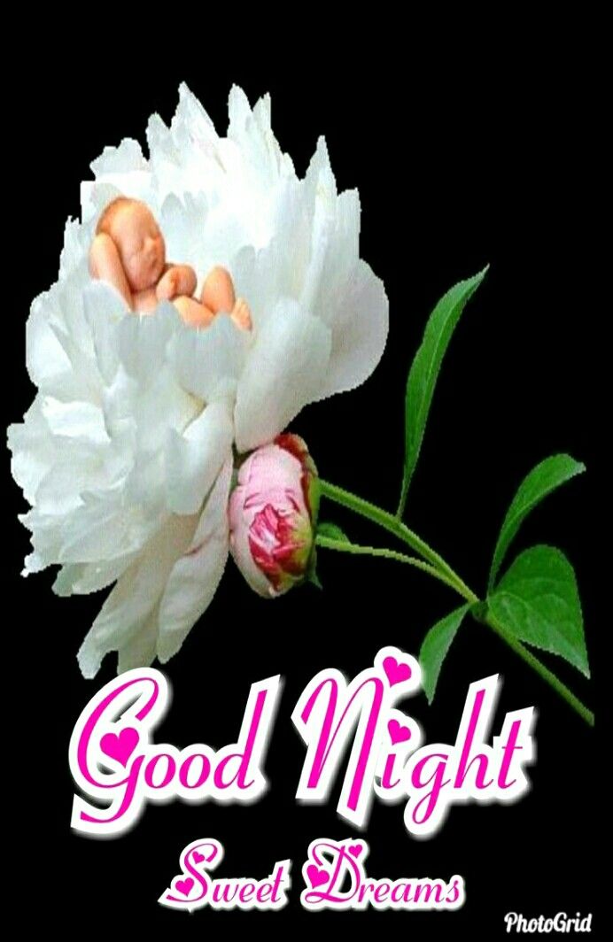 good night cute images