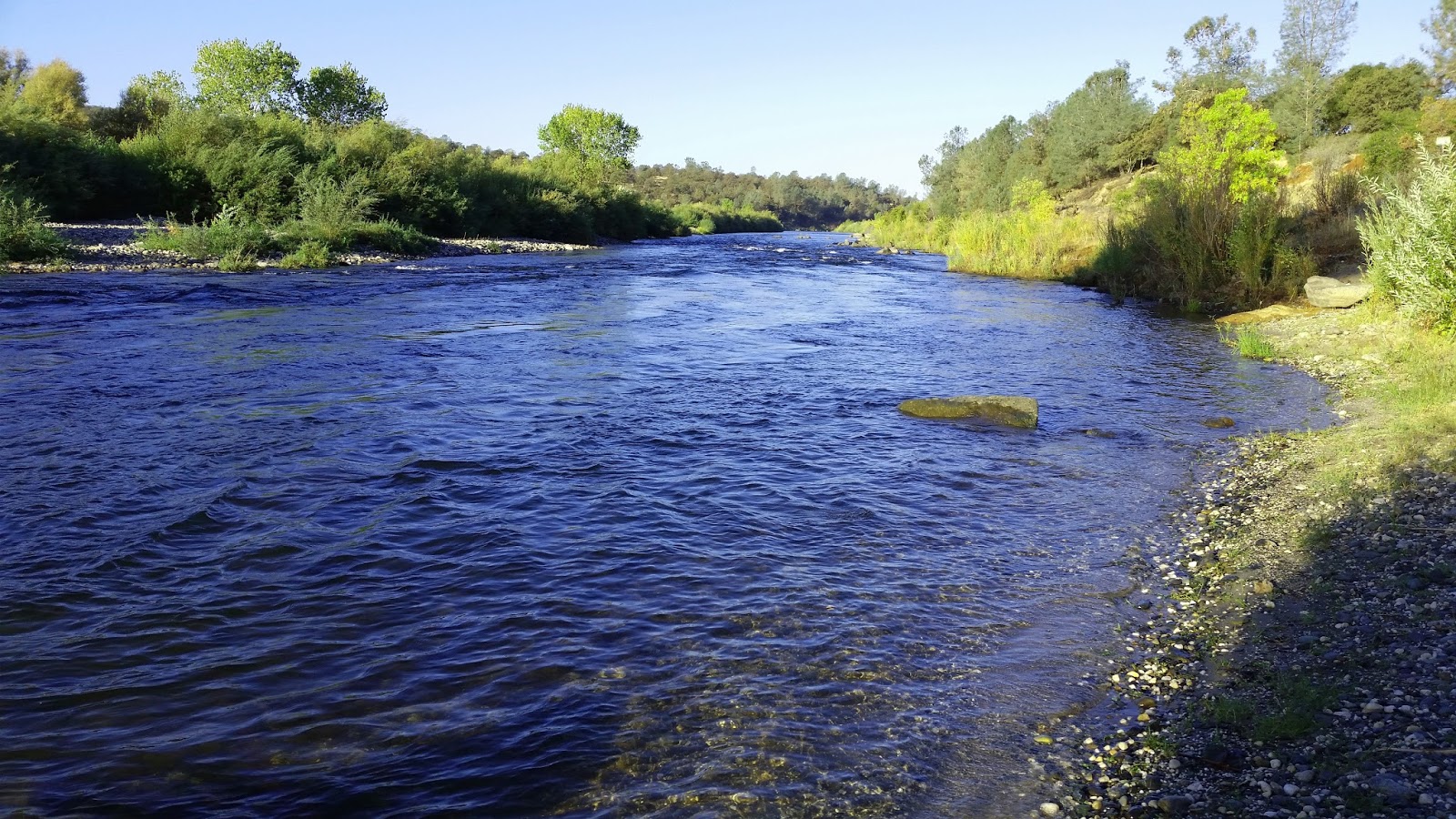 Jon Baiocchi Fly Fishing News Lower Yuba River Update 10/18/16 The