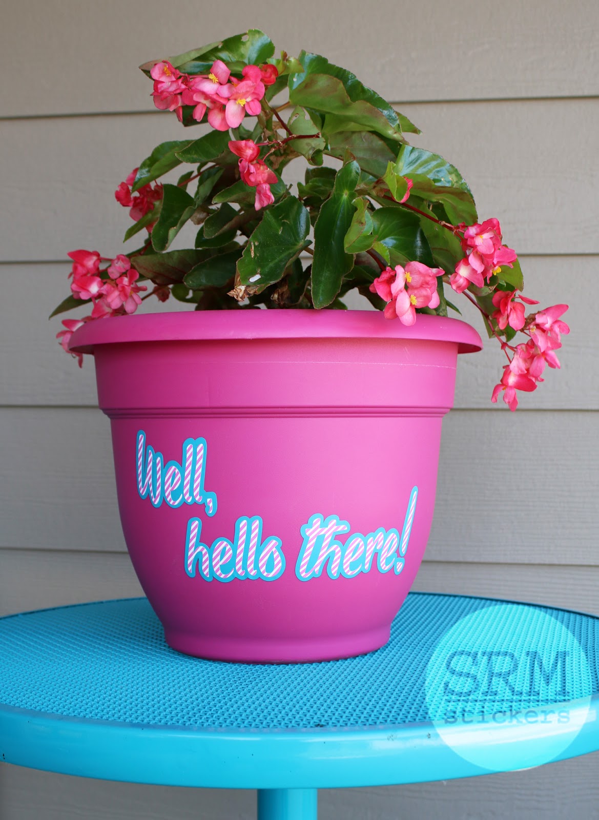 SRM Stickers Decorating with Vinyl by Samantha