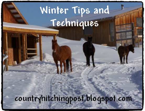 http://countryhitchingpost.blogspot.com/2014/01/winter-tips-and-tricks-for-keeping.html
