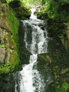 Animated GIF: Landscape - Animated GIF