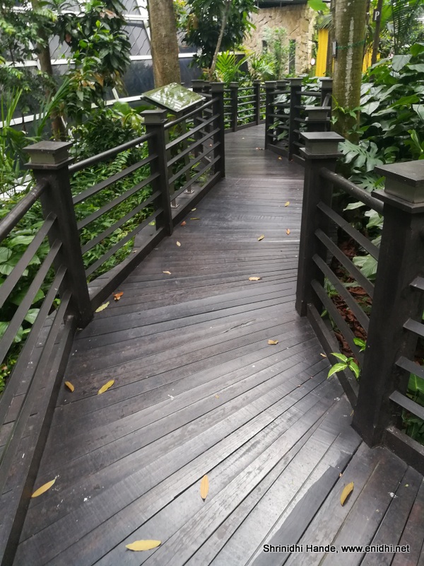 Airport attractions KLIA Jungle Boardwalk  The Airline Blog
