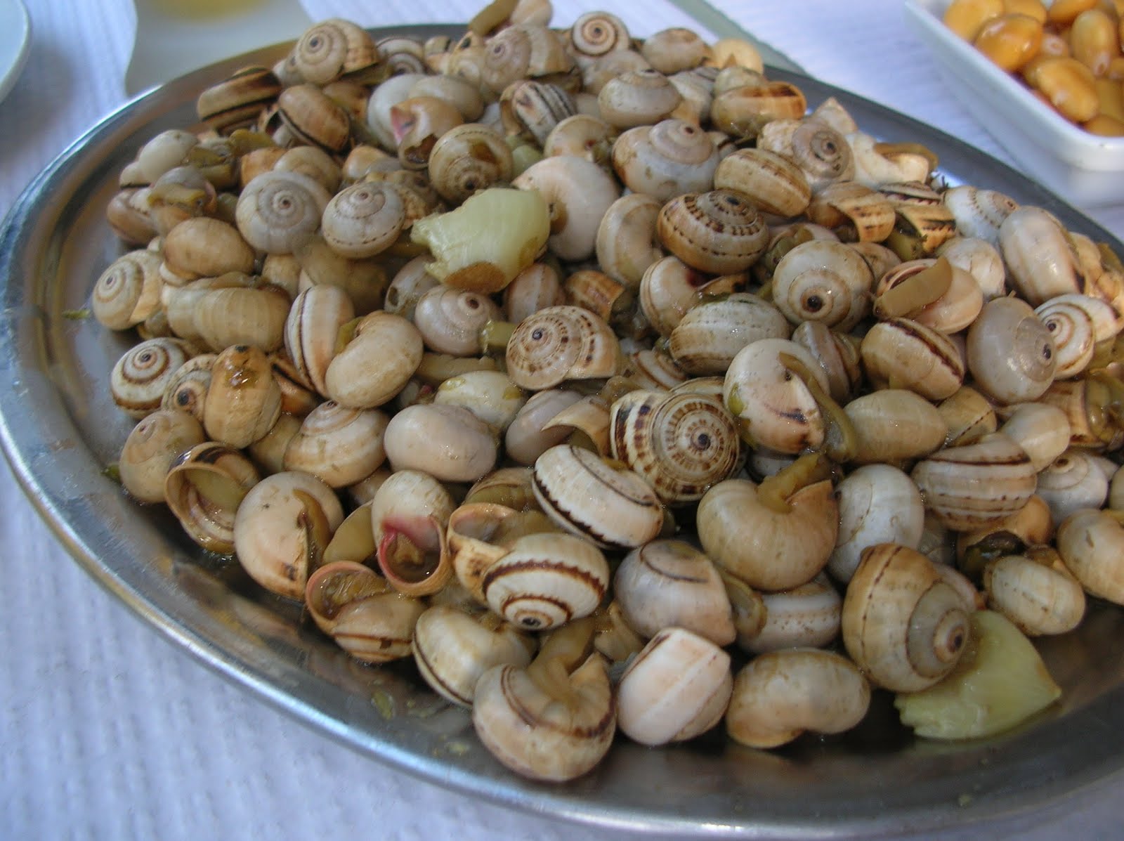 DSCN5316.JPG