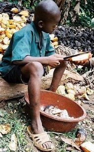 Niño trabajando Foto de niño trabajando bajo el sol