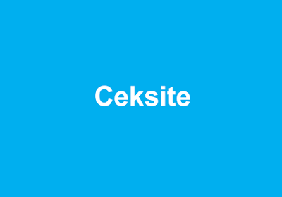 Hasil gambar untuk ceksite logo