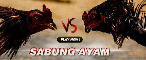 DAFTAR SABUNG AYAM S128