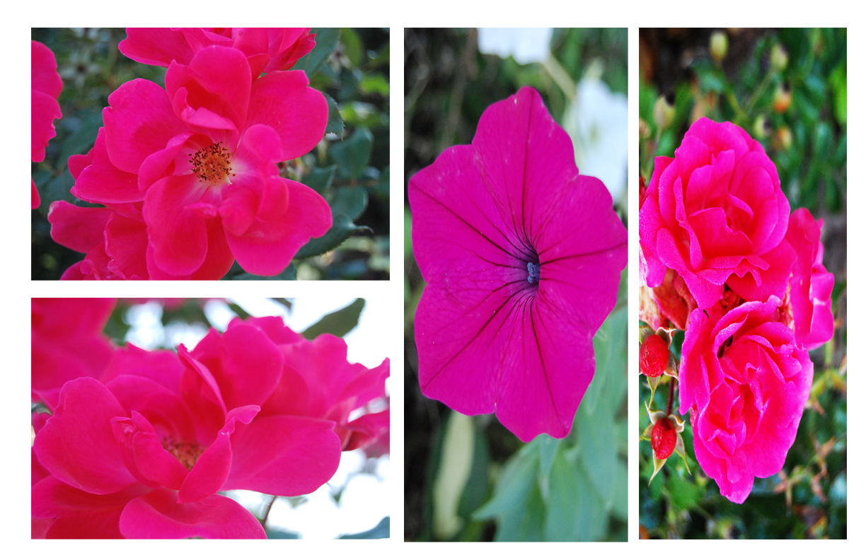 Ericka Tapia- Photography