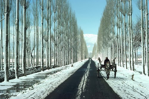 http://www.aadyaetravel.com/Kashmir_holidays.aspx