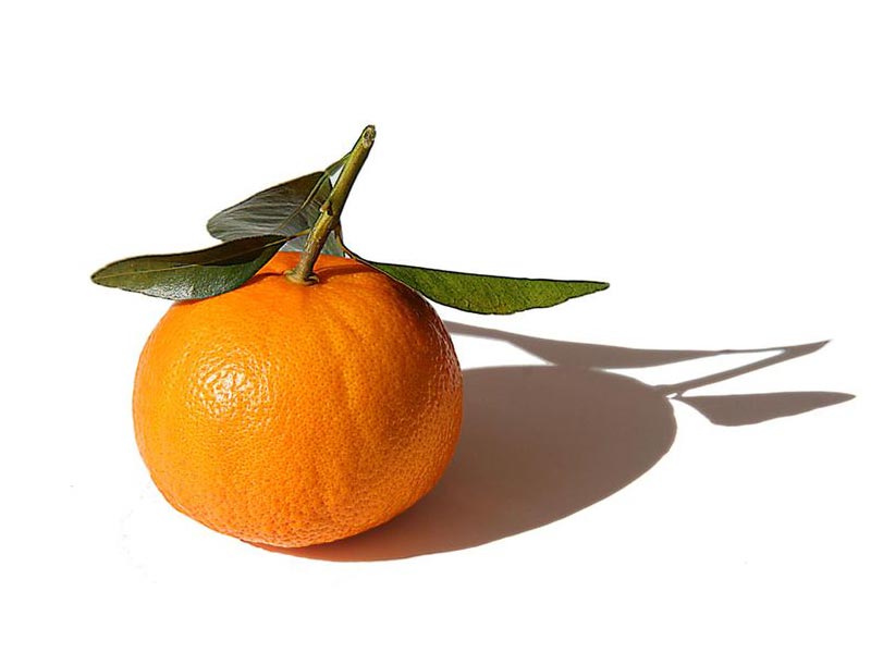 fruit names starting with t fruit names a z with pictures fruits that start with the letter t