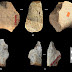 Каменни сечива, открити в Китай, предполагат, че човешкия вид е напуснал Африка по-рано, отколкото се предполага