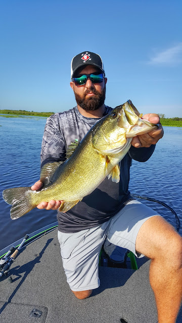 in the spread topwater largemouth bass fishing nick kefalides florida