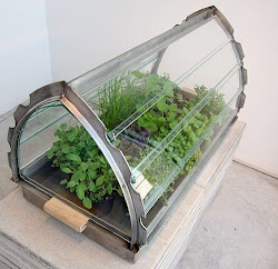 greenhouse portable mini herbs indoor plants growing glass garden van greenhouses eijk lubbe der miniature designed apartment apicius epigones rim