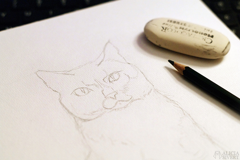 Pelle the Cat, sketch, by Alicia Sivertsson.